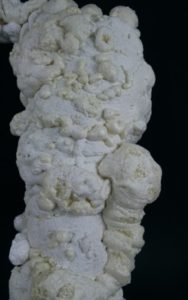 Close-up photograph of an abstract shape out of foamy material