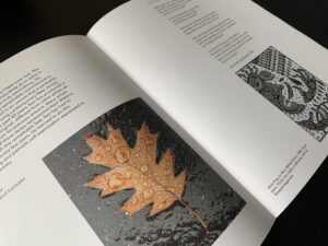 A slim paperback booklet open to a page with some text and an image of a leaf against a black background.