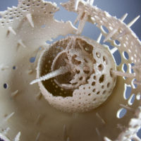 Gallery Closed: Opening 10/18