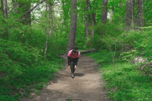 Photo of a hiker on a wide path in the woods