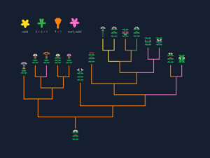 A symmetry tree of different types of flowers.